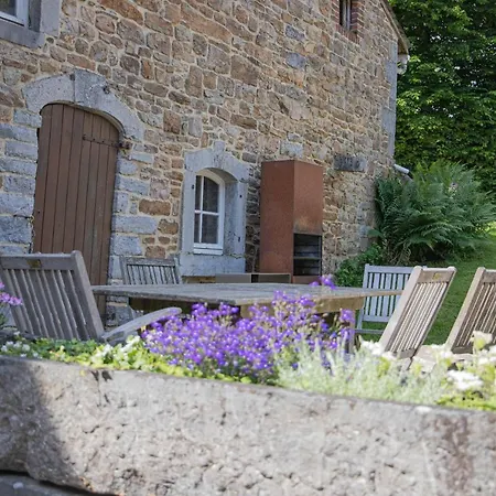 Le Moulin De Bosson - Ourasi Apartment Ferrieres Exterior photo